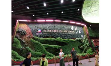 2019北京世園會，我們來啦