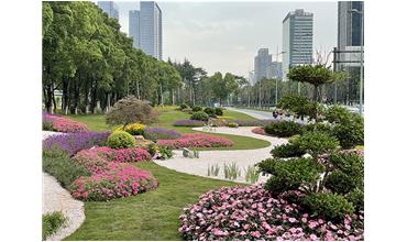 來現(xiàn)場打卡，感受“美麗無錫”的美好